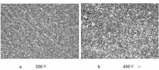 18Cr2Ni4WA螺栓調(diào)質(zhì)金相組織
