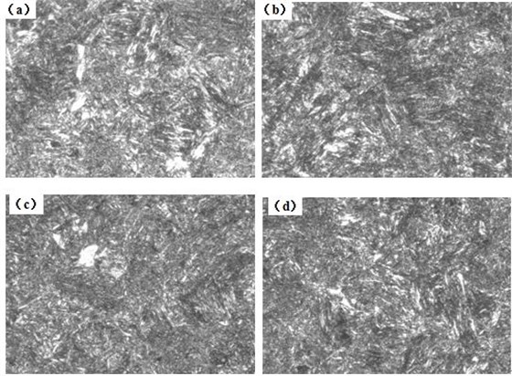 圖12-15 （a、b、c、d） 1～4號(hào)樣金相組織 500×