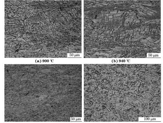 圖５ 在不同溫度、應(yīng)變速率為０．０１０s－１下壓縮至應(yīng)變量為７０％后GH４１６９合金的顯微組織