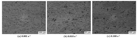 圖６ 在９８０ ℃、不同應(yīng)變速率下壓縮至應(yīng)變量為７０％后GH４１６９合金的顯微組織