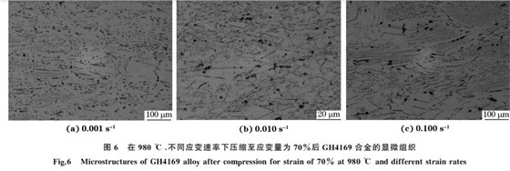 圖６ 在９８０ ℃、不同應(yīng)變速率下壓縮至應(yīng)變量為７０％