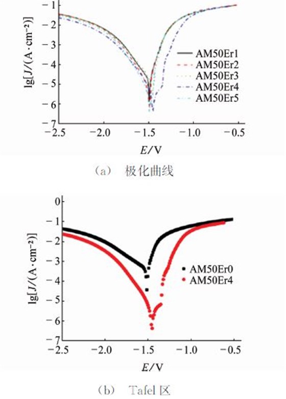 圖４ 不同Ｅｒ含量ＡＭ５０合金的極化曲線及Ｔａｆｅｌ區(qū)