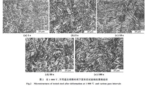 圖２ 在１０００ ℃、不同道次間隔時間下變形后試驗鋼的顯微組織