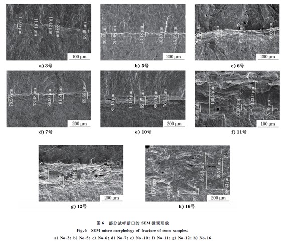 圖６ 部分試樣斷口的SEM 微觀形貌