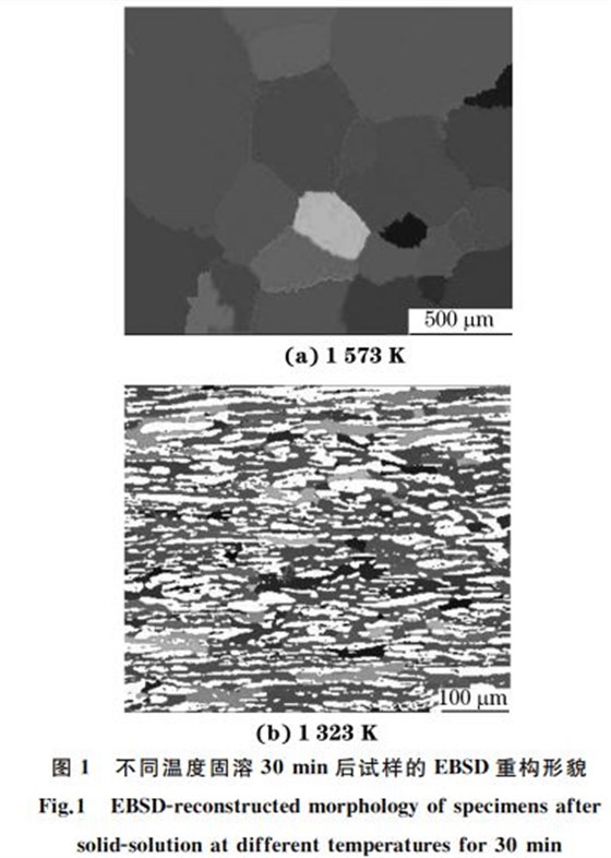 不同溫度固溶３０min后試樣的 EBSD重構(gòu)形貌
