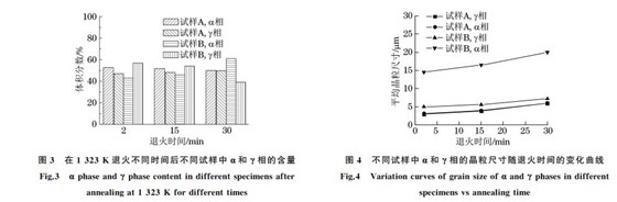 不同試樣中α和γ相的晶粒尺寸隨退火時(shí)間的變化曲線