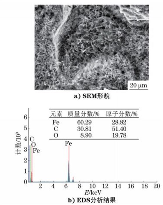 圖６ 斷口表面覆蓋物SEM 形貌及 EDS分析結果