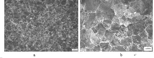 t12鋼退火金相組織