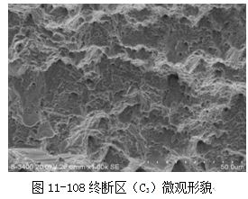 圖11-108終斷區(qū)（C3）微觀形貌