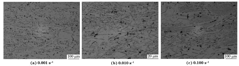 圖６ 在９８０ ℃、不同應(yīng)變速率下壓縮至應(yīng)變量為７０％后GH４１６９合金的顯微組織