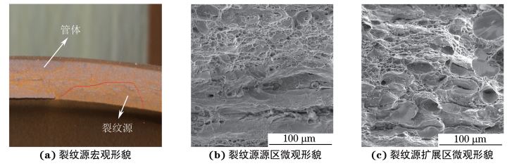 圖６ 裂紋源源區(qū)和擴(kuò)展區(qū)斷口形貌
