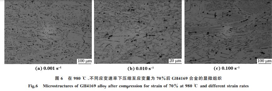 圖６ 在９８０ ℃、不同應(yīng)變速率下壓縮至應(yīng)變量為７０％