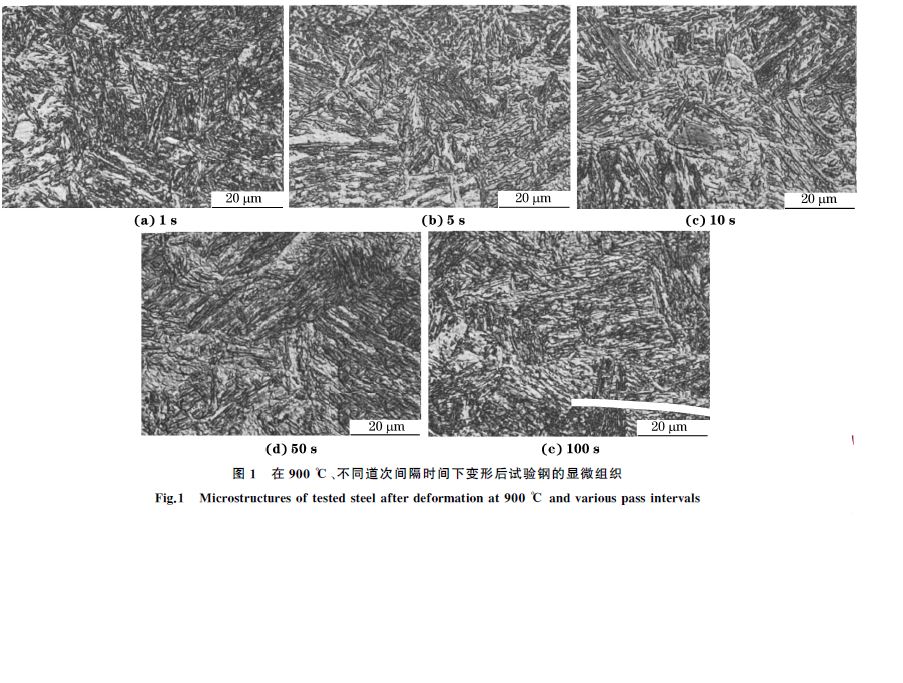 圖１ 在９００ ℃、不同道次間隔時間下變形后試驗鋼的顯微組織