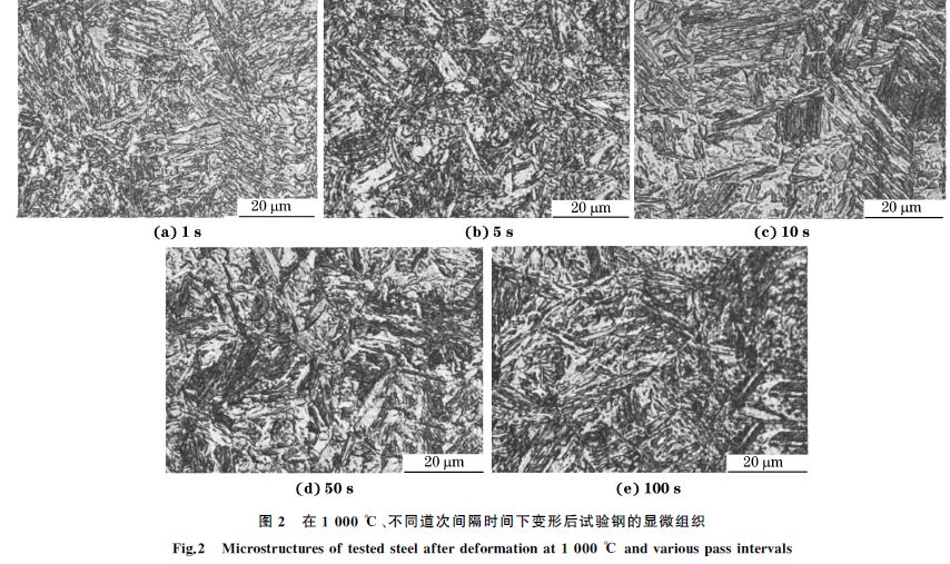 圖２ 在１０００ ℃、不同道次間隔時間下變形后試驗鋼的顯微組織