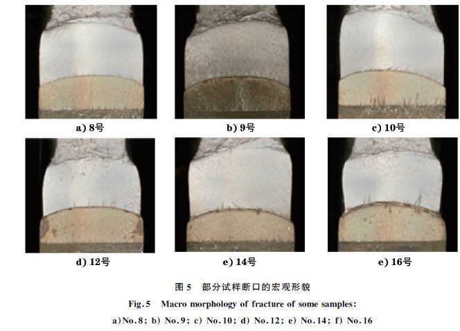 圖５ 部分試樣斷口的宏觀形貌