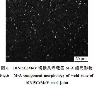 圖６ １０Ni５CrMoV鋼接頭焊縫區(qū) MＧA組元形貌