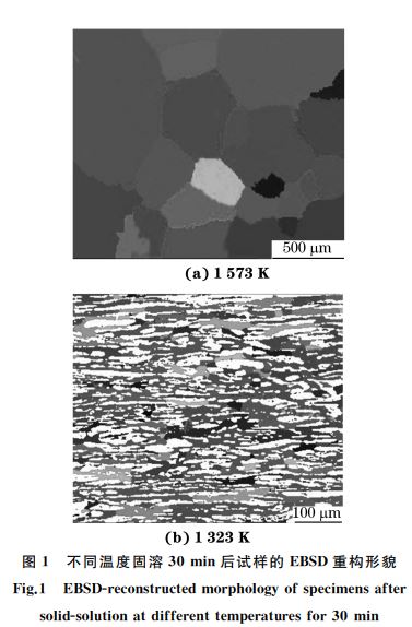 圖１ 不同溫度固溶３０min后試樣的 EBSD重構(gòu)形貌