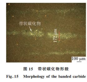 圖１５ 帶狀碳化物形貌
