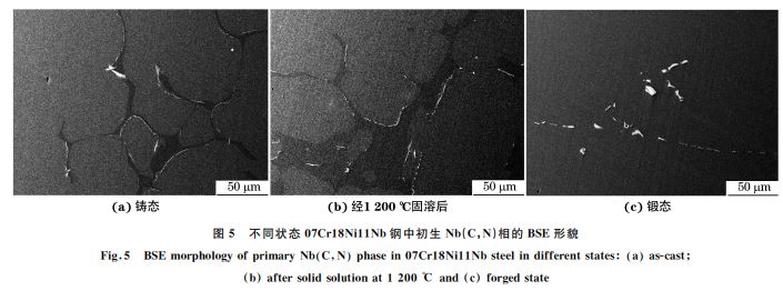 圖5 不同狀態(tài)07Cr18Ni11Nb鋼中初生 Nb(C，N)相的 BSE形貌